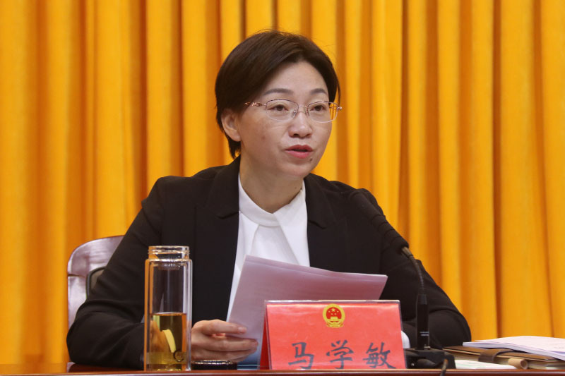 县委副书记,县长马学敏提出具体意见.jpg