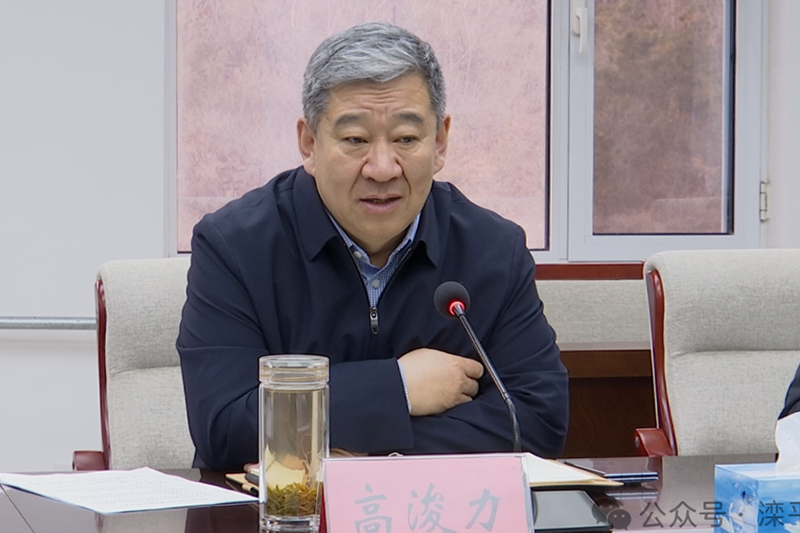 县委书记高浚力主持会议并讲话.png
