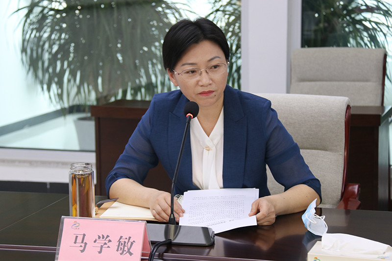 县长马学敏提出具体意见.jpg
