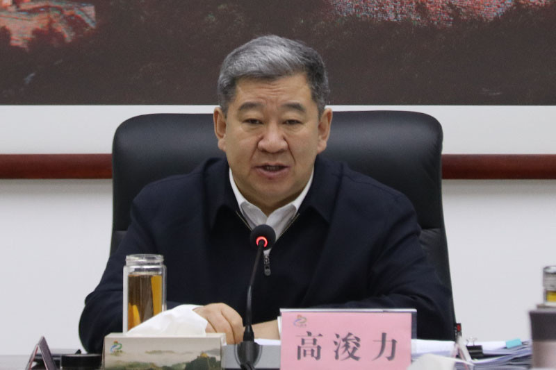 县委书记高浚力主持会议并提出具体意见.jpg