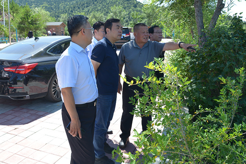 省人大四项联动监督督导组来滦调研.jpg